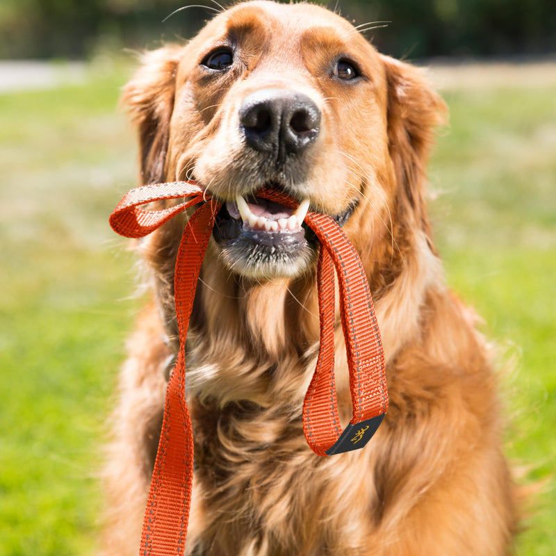 Browning Classic Dog Leash, Safety Orange, 6ft x 1in - PawsPlanet Australia
