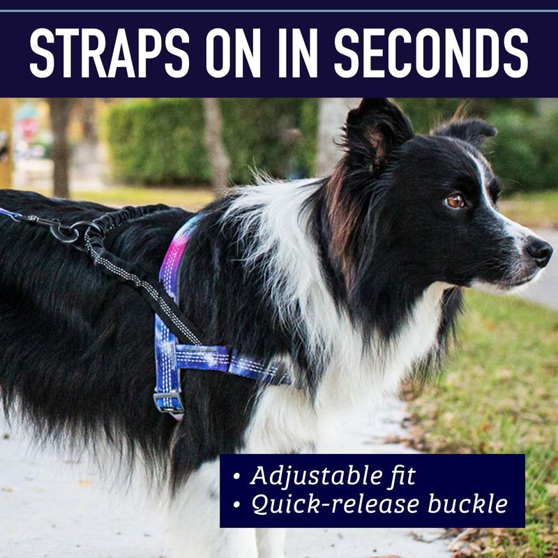 Leash Boss No Pull Dog Harness, Easy Walk for Small, Medium, and Large Pets, Reflective with Rear and Front Clip Attachment (Blanket Pattern, Extra Large) Orange - Blanket - PawsPlanet Australia