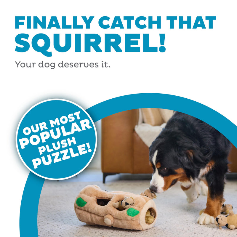Outward Hound Hide A Squirrel Plush Dog Toy Puzzle, XL Multi 5 Piece Set - PawsPlanet Australia