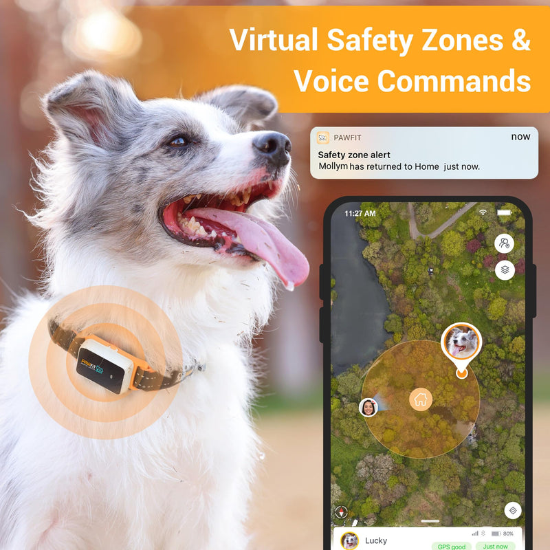 3 GPS Pet Location and Activity Tracker for dogs |Smart and affordable safety and health solution| Live location tracking| Unlimited Range| Escape alerts | Remote voice Recall|100% Waterproof