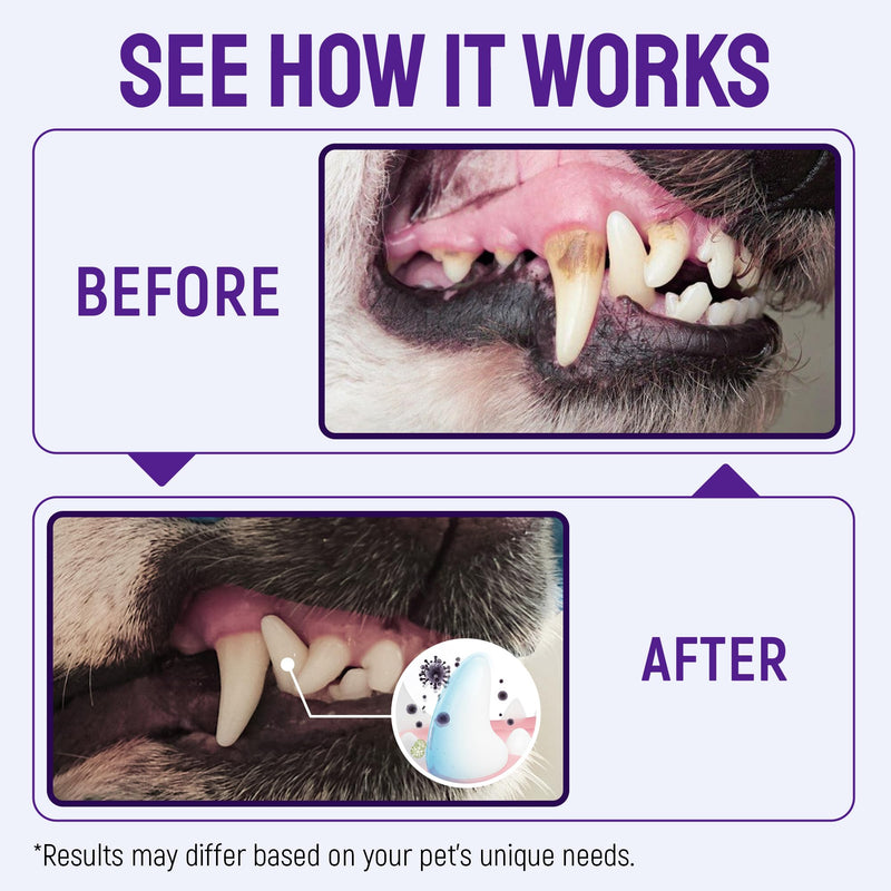 SILVER GRADE Teeth & Gum Dog Breath Spray for Pets Mouth – Cat Dental Care with Silver – Dog Breath Freshener Helps with Tartar & Caries – Plaque Remover for Daily Use – 4 Oz 4 Fl Oz (Pack of 1) - PawsPlanet Australia