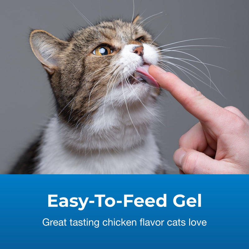 Pet-Ag High Calorie Gel Supplement for Cats - 3.5 oz - Chicken Flavor - Provides Extra Calories for Cats 8 Weeks and Older - Easy to Digest 1