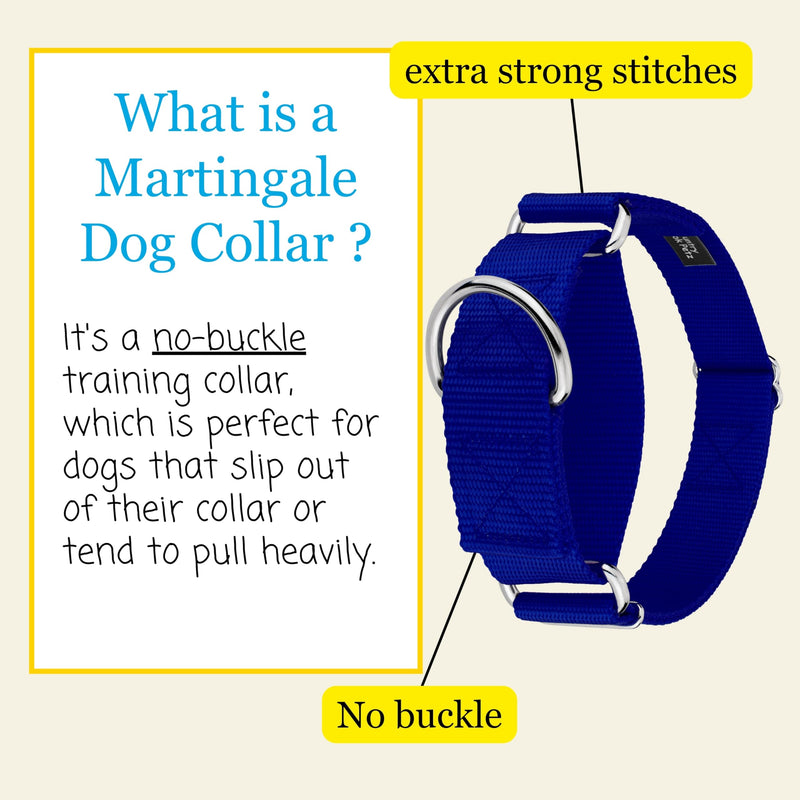Country Brook Petz - HossFit Jr Wide Martingale Dog Collar - Training Collar with No Buckle - Service Dog Collar for All Pups - Vibrant, Colorful Collection (Royal Blue, Medium) Medium (Pack of 1) Royal Blue - PawsPlanet Australia