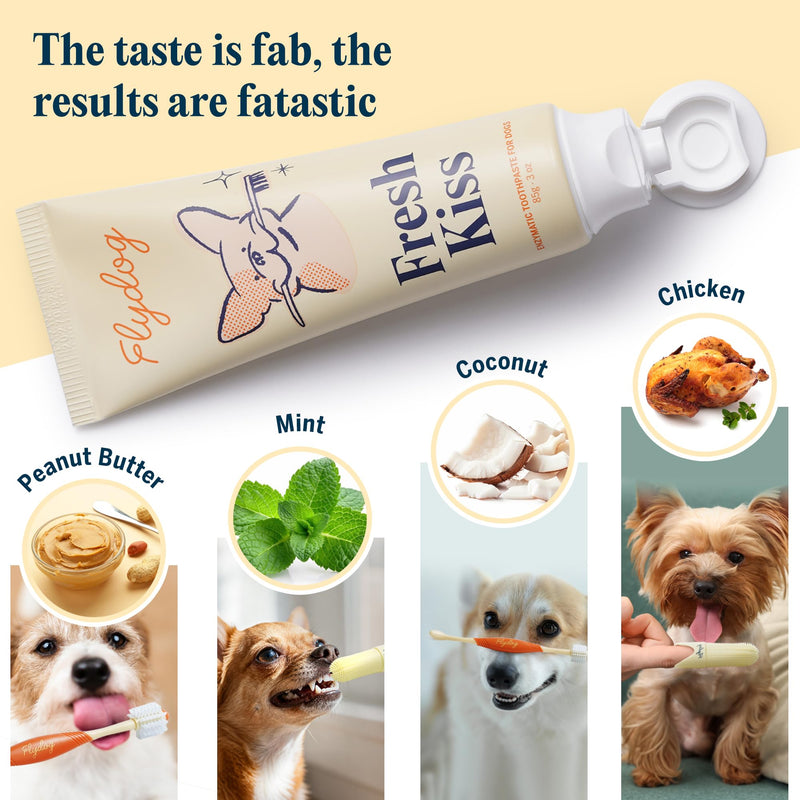Flydog Fresh Kiss Dog Tooth Brushing Kit, Enzymatic Dog Toothbrush and Toothpaste- Vet Approved Formula, Breath Freshener & Tartar Remover, 360° Toothbrush for All Round Cleaning (Mild Mint) Mild Mint