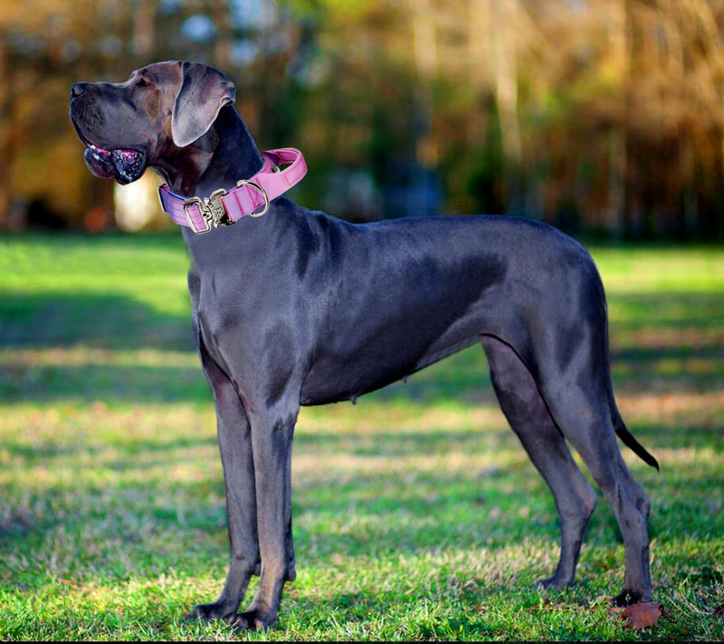 Tactical Dog Collar, Wide Thick Heavy Duty Dog Collar with Handle, Soft Neoprene Padded Military-Grade Nylon Training Collar with Quick Release Metal Buckle for Large Dogs (Pink, L,XL) Pink - PawsPlanet Australia