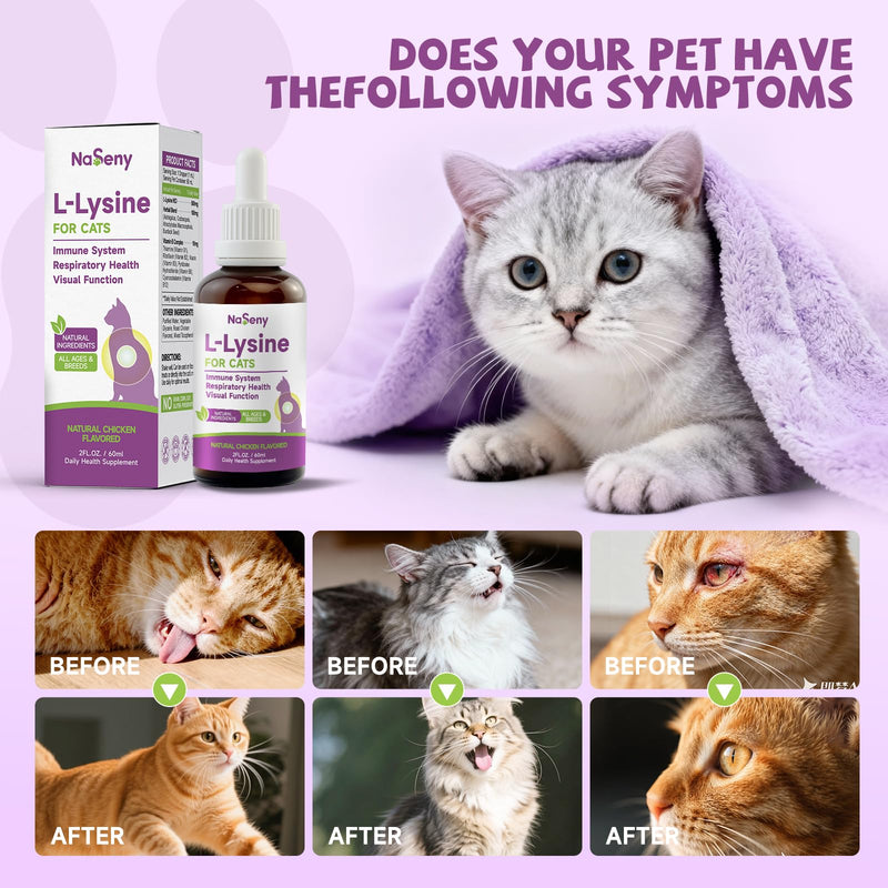 L-Lysine for Cats, L-Lysine Supplement for Cats, Immune Support, Respiratory, & Eye Health with Astragalus, Codonopsis,& Vitamin B Complex, Eases Sneezing, Runny Nose, and Watery Eyes, 2FL oz