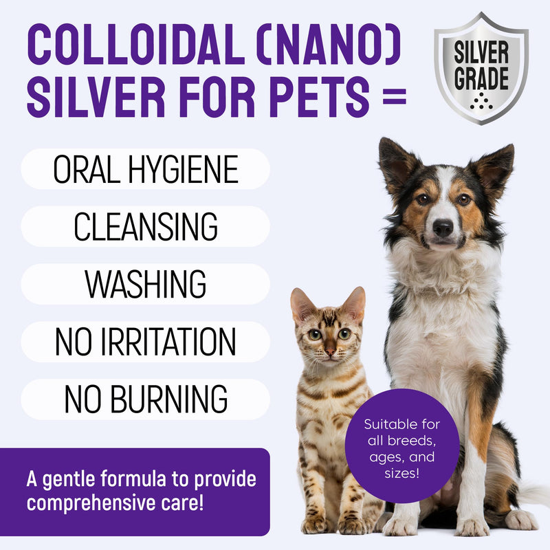 SILVER GRADE Teeth & Gum Dog Breath Spray for Pets Mouth – Cat Dental Care with Silver – Dog Breath Freshener Helps with Tartar & Caries – Plaque Remover for Daily Use – 4 Oz 4 Fl Oz (Pack of 1) - PawsPlanet Australia