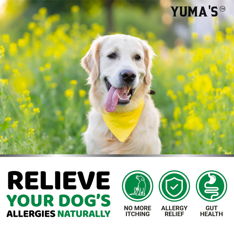 YUMA'S Dog Allergy Relief Chews - Dog Itching Skin Relief Treatment Pills - 170 Treats - Anti-Itch for Dogs - Itchy and Paw Licking - Dry Skin & Hot Spots - Omega 3 Fish Oil - Skin & Coat Supplement 170 Chews Brown