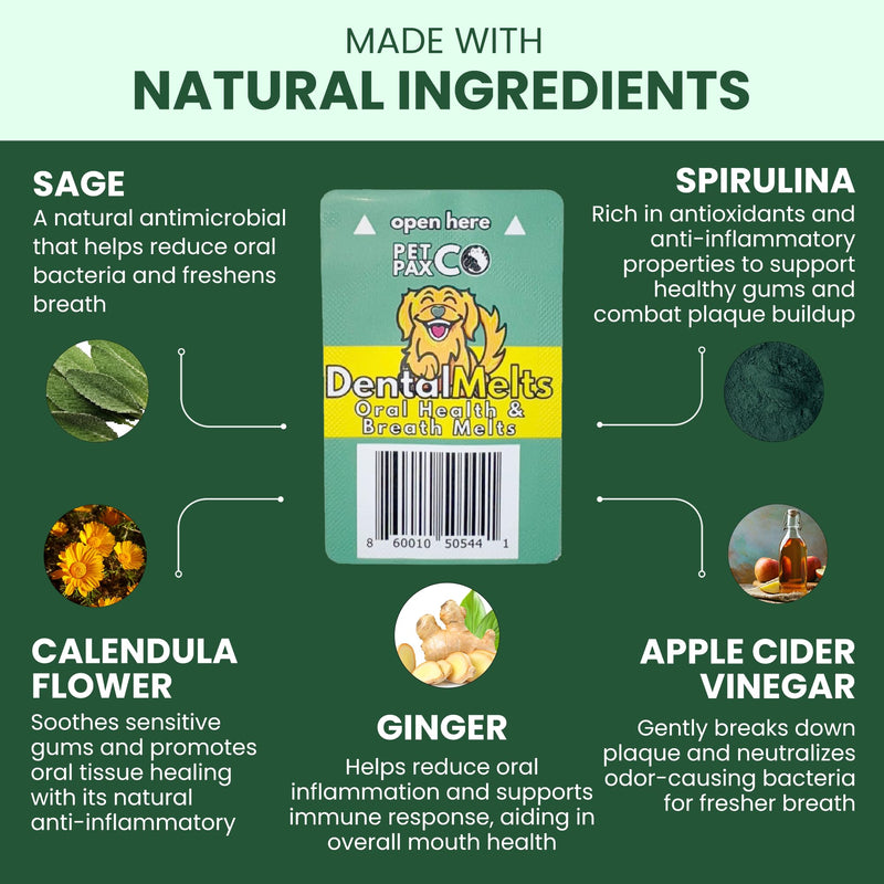 Dog Breath Freshener 5 in 1 – 30 Oral Strips – Natural Sage, Spirulina, Apple Cider Vinegar – Dogs Dental Care Products, Fresh Breath & Oral Hygiene Support – No Chew Dog Breath Mints 30 Strips - PawsPlanet Australia