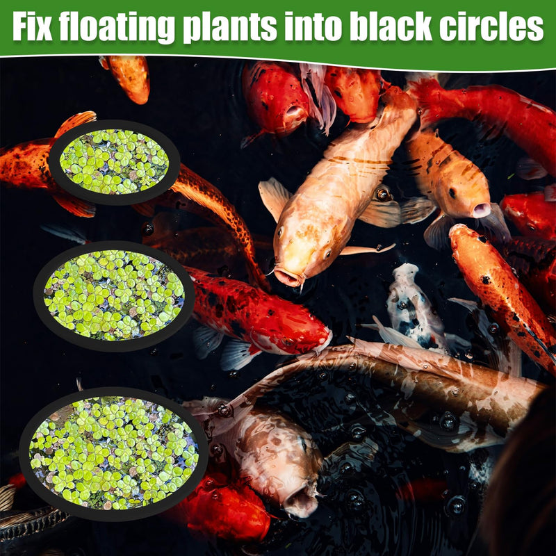 6pcs Fish Feeding Rings, Aquarium Floating Plant Rings, Round & Square Fish Feeder Rings Floating Plant Corral Fish Tank Plant Ring for Bettas, Goldfish, Turtle Aquarium Accessories (Black) - PawsPlanet Australia