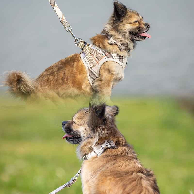 Dog Harness for Small Dogs - Plaid No Pull Dog Vest Harness and Leash Set - Step in Reflective Adjustable Soft Mesh Full Body Dog Harness for Walking, Running, Training... Small-chest : 13"-14.5" Beige - PawsPlanet Australia