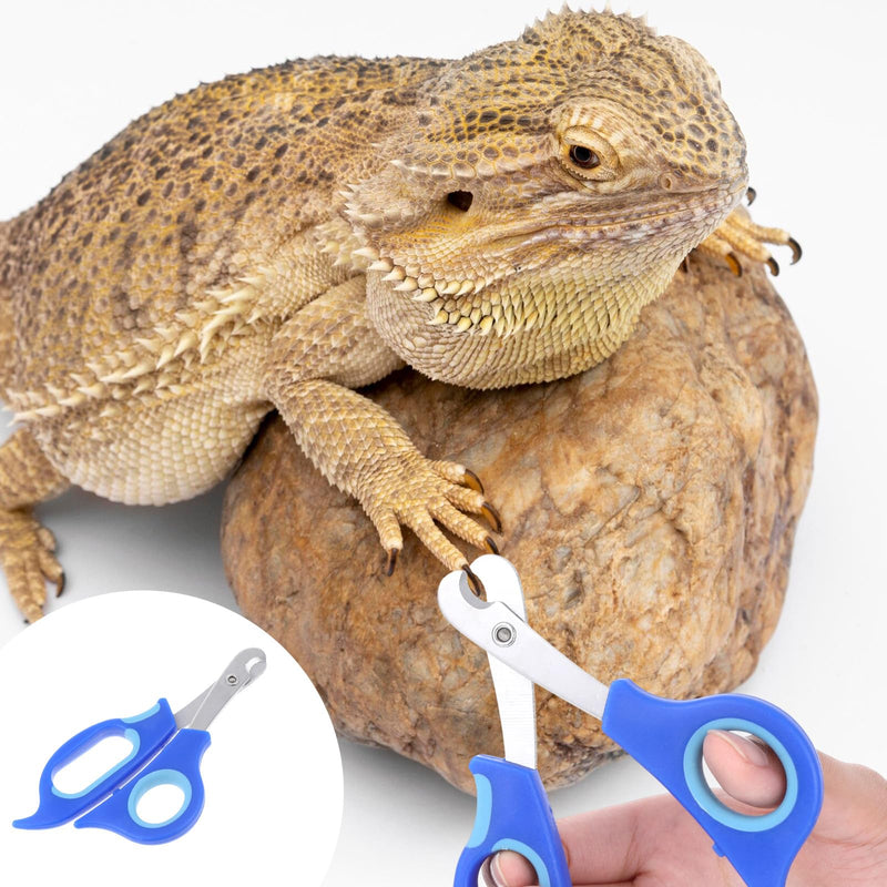 Bearded Dragon Nail Clippers,Stainless Steel Bearded Dragon Accessories,Professional Grooming pet Tools Including Nail File and Scissors for Small Reptiles,Chameleon,Cats,Dogs,Iguana - PawsPlanet Australia