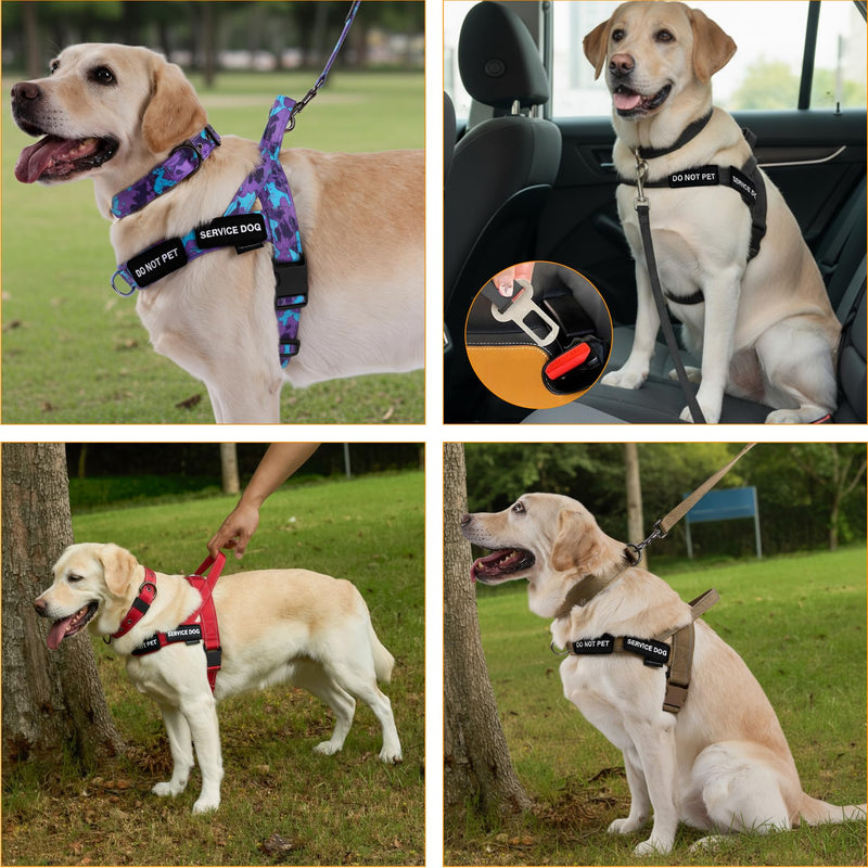 Annchwool No Pull Dog Harness,Heavy Duty Collar & Leash Set-Leash with Double Handle & Car Seatbelt Clip-Easy Control for Walking Training Medium Large Size Dogs(Camo Purple,XL) XL Camo Purple - PawsPlanet Australia