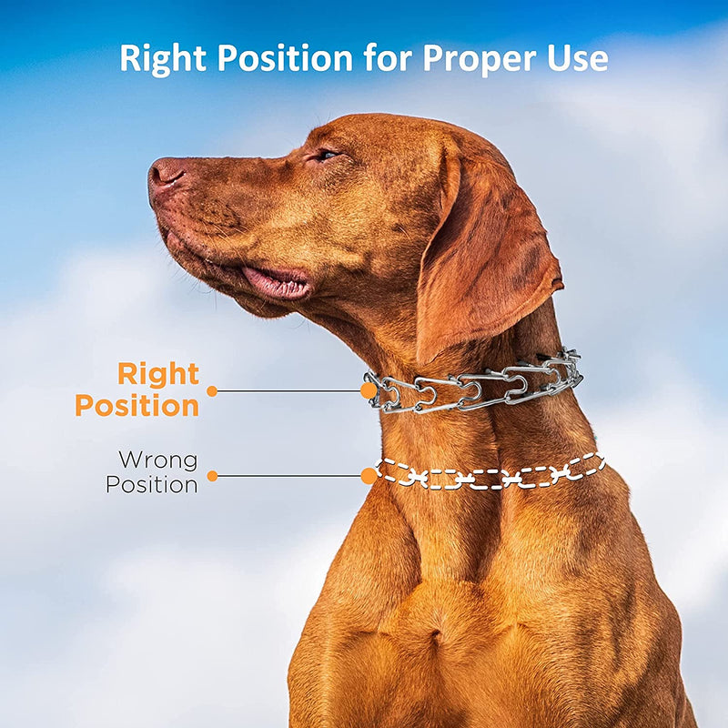 Dog Prong Collar,Dog Pinch Collar with Quick Release Buckle,No Pull Choke Collar Detachable Adjustable,Metal Easy Buckle Release Middle Large Dog Training Collar With Buckle XL - PawsPlanet Australia