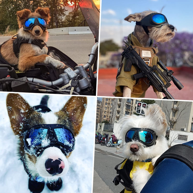 Small Dog Goggles Windproof for Small-Medium Breeds Dog Sunglasses Anti-UV with Adjustable Straps - Blue Blue Lenses