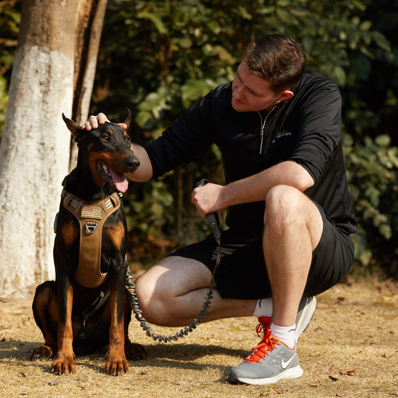 BUMBIN Tactical Dog Harness for Small Dogs No Pull, Famous TIK Tok No Pull Puppy Harness, Fit Smart Reflective Pet Walking Harness for Training, Adjustable Dog Vest Harness with Handle Brown S S(Neck:13-16", Chest:15-23") - PawsPlanet Australia