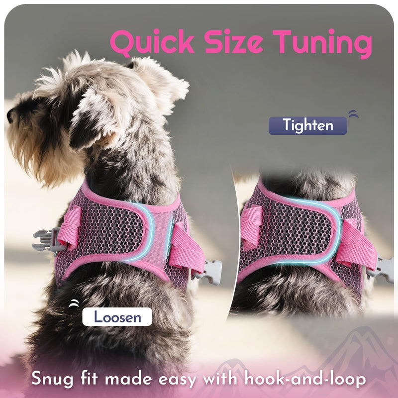 Eagloo Small Dog Harness and Leash Set, Step in Puppy Vest with Breathable Soft Mesh, Walking Reflective Pet Harness for Small Dogs, Pink, S S(Chest:15.1"-16.5") - PawsPlanet Australia