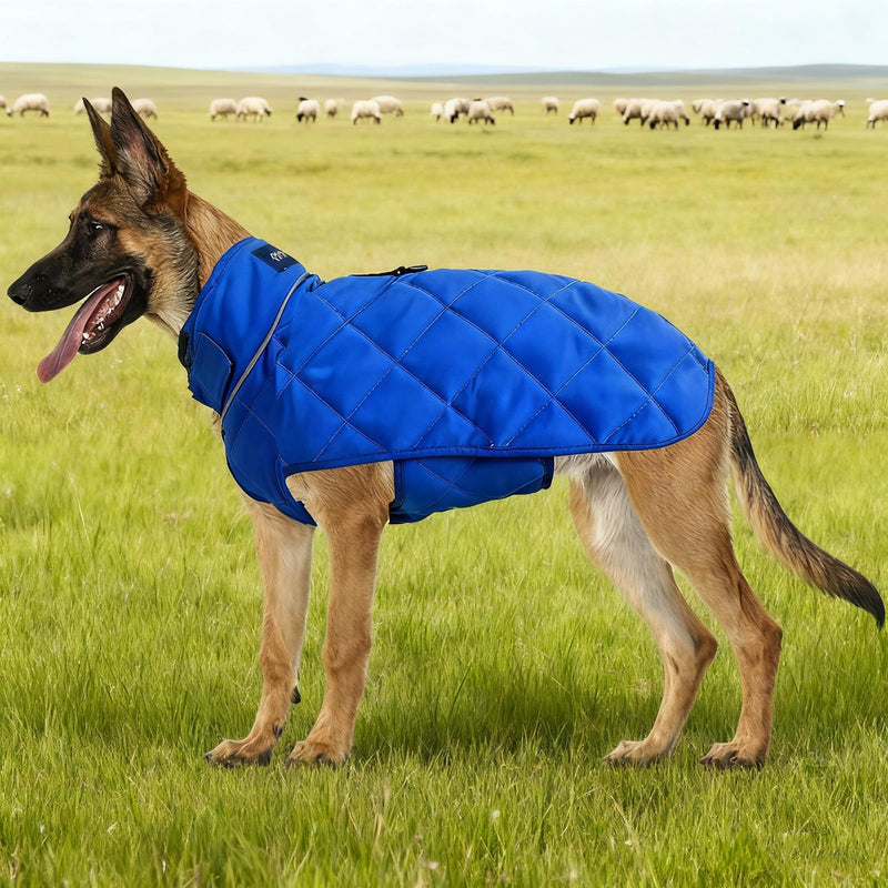 Weighted Dog Vest, Tactical Weight Coat with Beads for Dogs Anxiety- Relieve Stress, Build Muscle & Optimize Health, Premium Heavy Duty Dog Training Jacket for Exercise and Strength (Blue, S) Blue Small