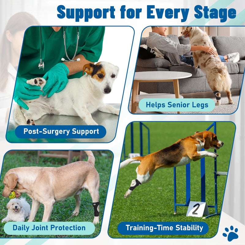 Dog Leg Braces for Back & Front Legs- Dog Hock & Ankle Joint Brace for Weak Back Legs with 2 Metal Strips, Reflective Trim for Sprain, Injury, Arthritis, Wound Recovery,Black,XL Black XL