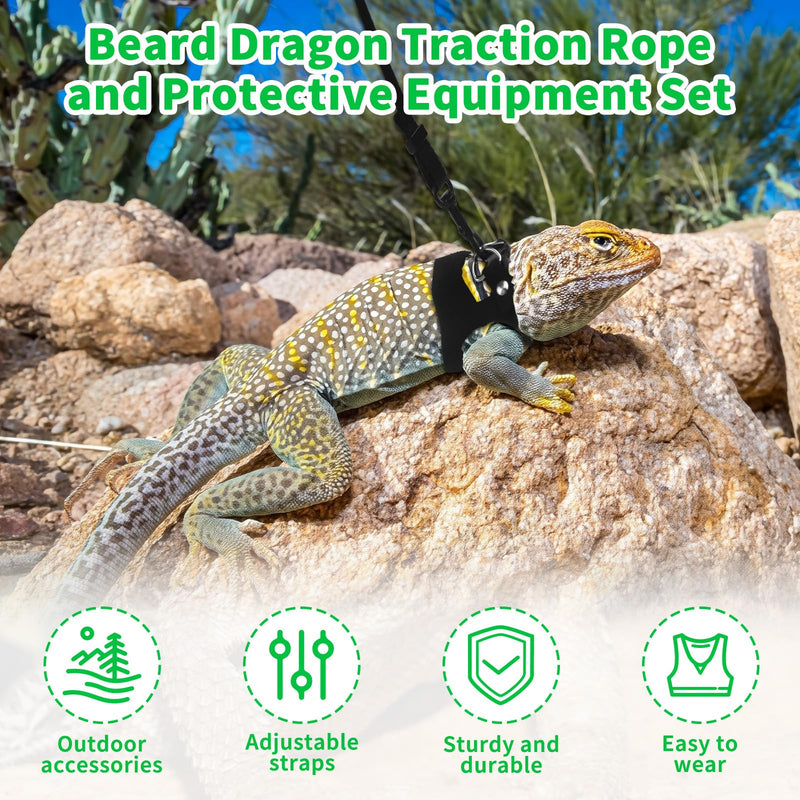 3Size Black Bearded Dragon Leash and Harness Set, Adjustable Bearded Dragon Harness with Lizard Traction Rope for Reptile, Lizard Leash/Squirrel Harness/Small Rabbit Traction Rope (S, M, L) - PawsPlanet Australia