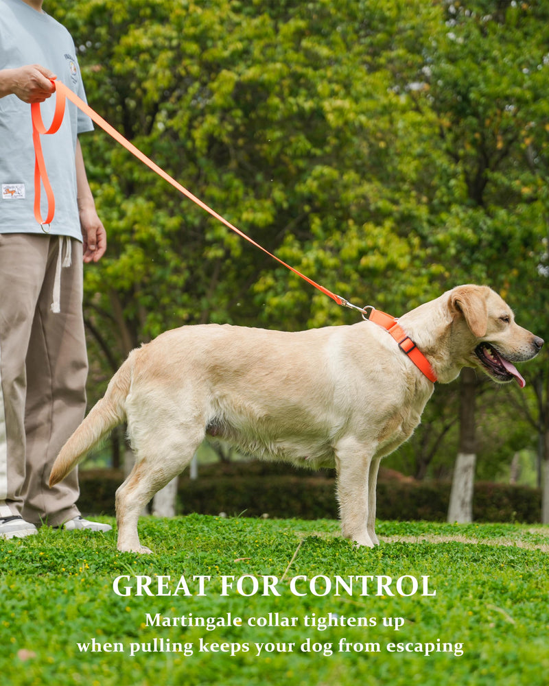 Waterproof Martingale Collar for Dogs,Easy to Clean Dog Collars with Safety Quick Release Buckle,Rubber Collar for Medium Large Dogs Walking Training (Orange, M (16.5-20.8inch)) M (16.5-20.8inch) Orange - PawsPlanet Australia