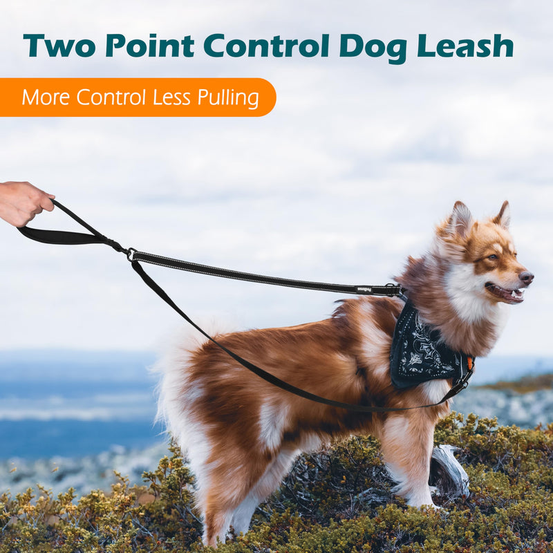 PetBonus Two Point Control Dog Lead, Works with No Pull Harnesses, No Tangle Training Leads, Soft Padded and Reflective Walking Lead, Converts to Single Lead for Medium Large Dogs (Black) Black - PawsPlanet Australia