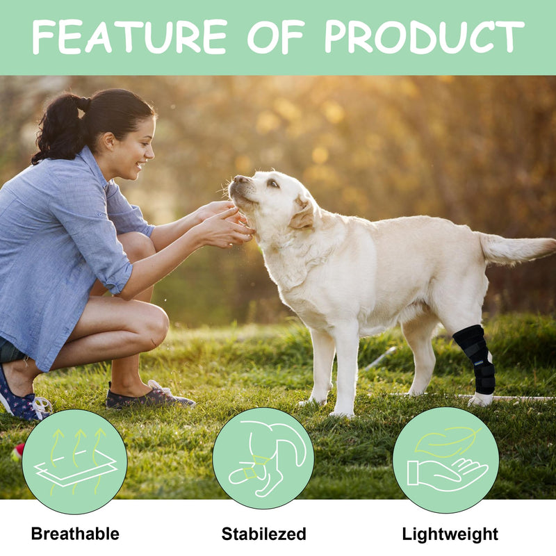 Dog Canine Rear Leg Hock Joint Brace Compression Brace Wrap Sleeve for Protection,Sprain and Injury Prevention,Ankle Brace with Knee Support for Dogs-Large Large - PawsPlanet Australia