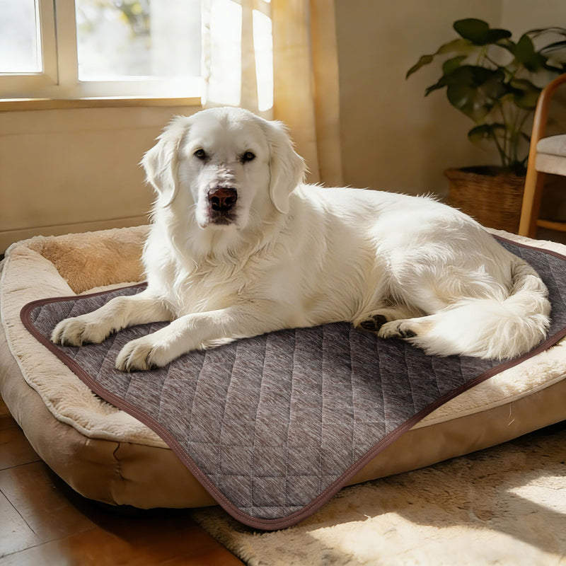 Cooling Mat for Dogs: Waterproof Pet Cooling Mat for Crate Kennel, Summer Indoor Dog Cooling Pad for Floor and Sofa, Dark Grey, Small Dog/Cat Small(28“x22") 002-Brown - PawsPlanet Australia