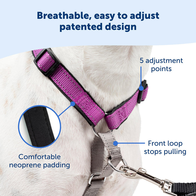 PetSafe 3 in 1 Dog Harness - No Pull Solution for Dogs - Reflective Dog Harness - Front D-Ring Clip Helps Stop Pulling - Comfortable Padded Straps - Top Handle Enhances Control - Plum - Medium Medium (Pack of 1)