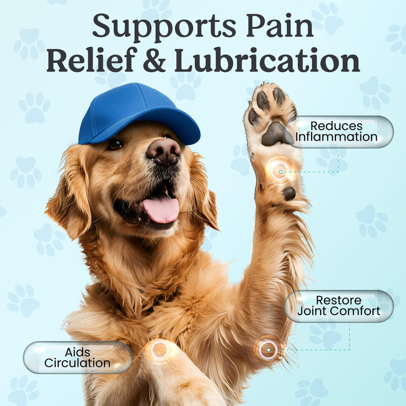 Doggie Herbs Ruff Joints Powder- Advanced Hip & Joint Support for Dogs- Glucosamine, Devil's Claw & Meadowsweet- Mobility & Stiffness Supplement- Pure Active Formula, No Fillers- TCM Doctor Formulated - PawsPlanet Australia