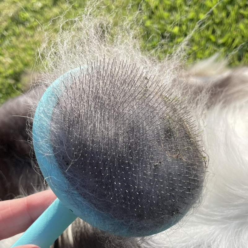 Masterclip Super Slicker Dog Brush – Oval Head with Flexi-Pins for Shedding & Detangling – Ideal for Curly, Double & Long Coats