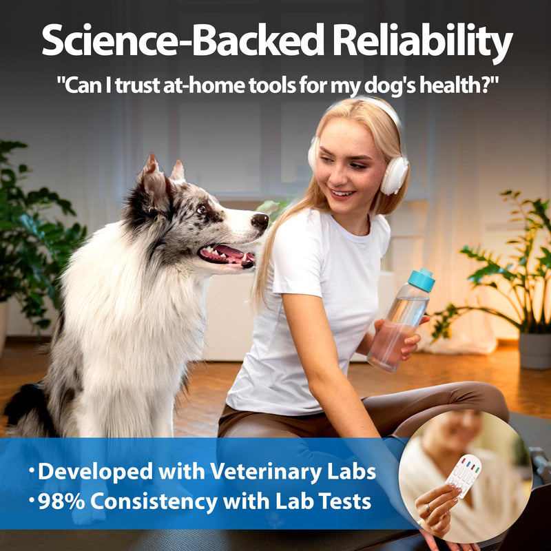 4-in-1 Dog Health Management Card 4-in-1 Canine Health Signal Analyze Common Canine Illnesses Quick and Easy at-Home Testing - PawsPlanet Australia