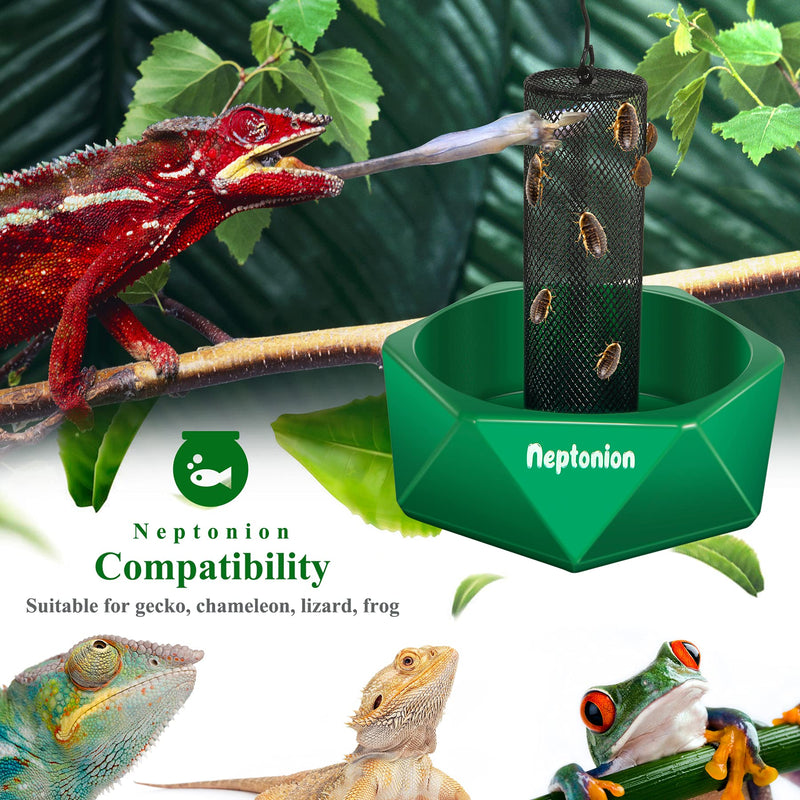 Hookable Chameleon Feeding Bowl, Professional Live Worm Organizer with Column for Prey to Climb and Move, Suitable for Lizard, Bearded Dragon, Iguana, Gecko, Toad, Frog