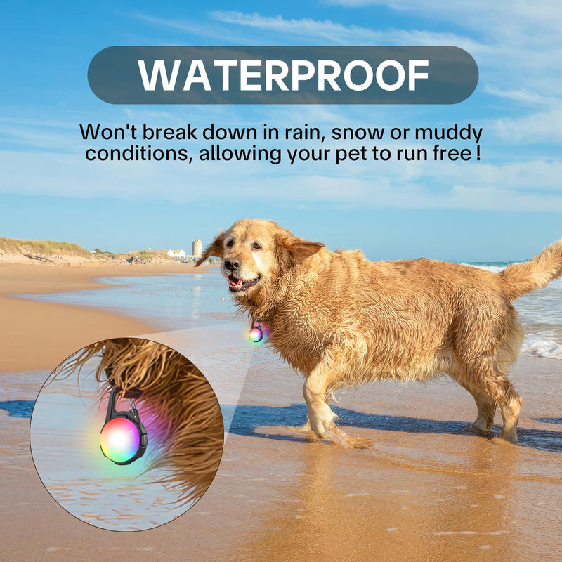 Dog Lights for Night Walking, 2 Packs LED Dog Collar Light, 4 Modes Dog Light for Dog Walking at Night,Waterproof Dog Walking Light, Rechargeable Light for Dog Collar Lights for Nighttime Clip On - PawsPlanet Australia