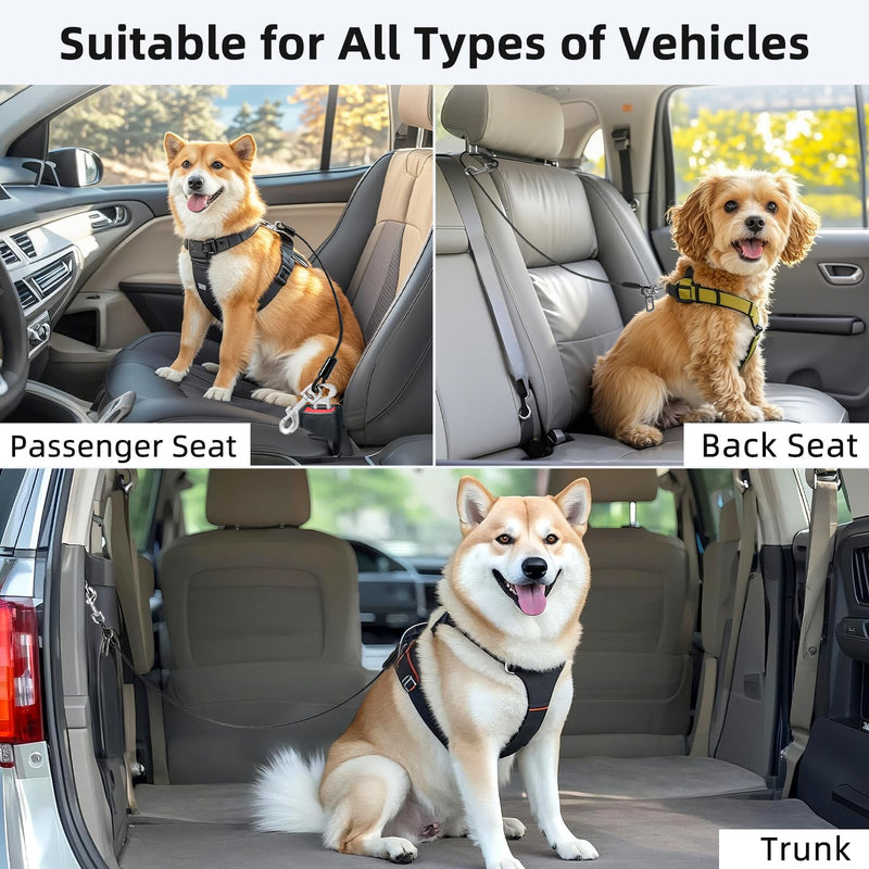 Dog Seat Belt for Car, 16" Chew-Proof Coated Wire Dog Car Leash Seat Belt, Dog Leash with Buckles and Latch, Safety Harness for Small, Medium, Large Dog or Cat, Travel, Black, 2 Pack 2 Pack Black 16 inch/40 CM - PawsPlanet Australia
