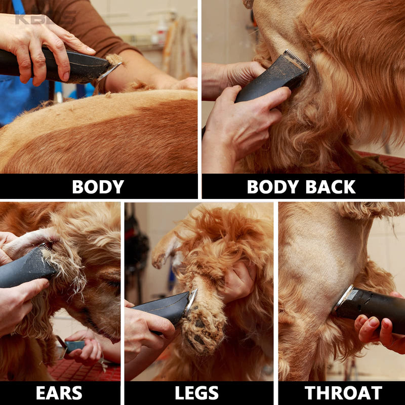 Detachable Ceramic Pet Clipper Blades,Size-7F,Compatible with Most Andis,Oster,Wahl A5 Clippers,Made of Ceramic Blade Cutter and Carbon Steel Blade,1/8'' Inch 3.2mm Cut Length, 7F Blade 7F:1/8"(3.2mm) - PawsPlanet Australia