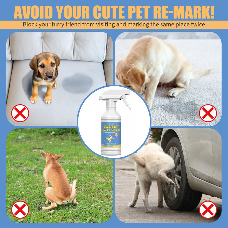 16 Oz Training Aid Spray for Dogs | Effective Training Spray for Dogs to Stop Unwanted Marking and Messy Urination 16.0 Fl Oz - PawsPlanet Australia