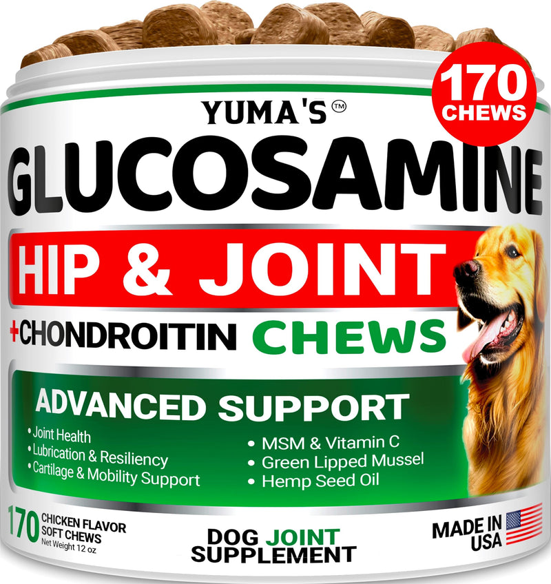 Glucosamine for Dogs - Hip and Joint Supplement for Dogs - 170 Ct - Glucosamine Chondroitin for Dogs Chews - Dog Joint Pain Relief with MSM - Advanced Dog Joint Supplement Health - Mobility Support 170 Chews