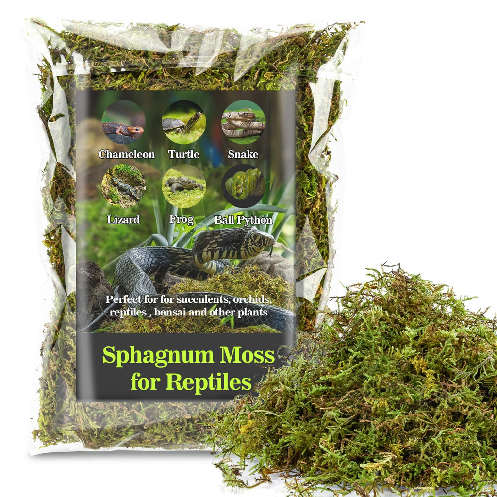 Sukh Sphagnum Moss for Reptiles -Terrarium Moss for Reptiles Peat Moss for Reptiles Habitat Bedding Moss for Snakes Turtle Frog Gecko and Other Reptiles Substrate (3, Ounces) 3 Ounces