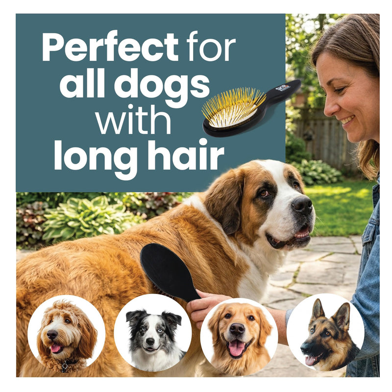 Pin Brush for Dogs, Gentle Dog Brush for Long Haired Dogs – Routine Essential for Goldendoodles, Poodles & Doodles, No-Scratch Rounded Pins for Sensitive Skin, Flexible Cushion Base – Skip the Groomer - PawsPlanet Australia