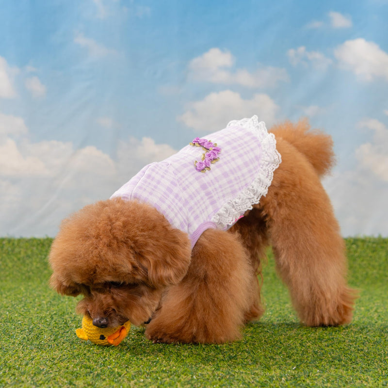 Pinkaholic New York Alyse Dog Shirt Hooded Trendy Fashionable Cute Dog Apparel for Small Dogs, Purple, Medium Purple_Alyse - PawsPlanet Australia