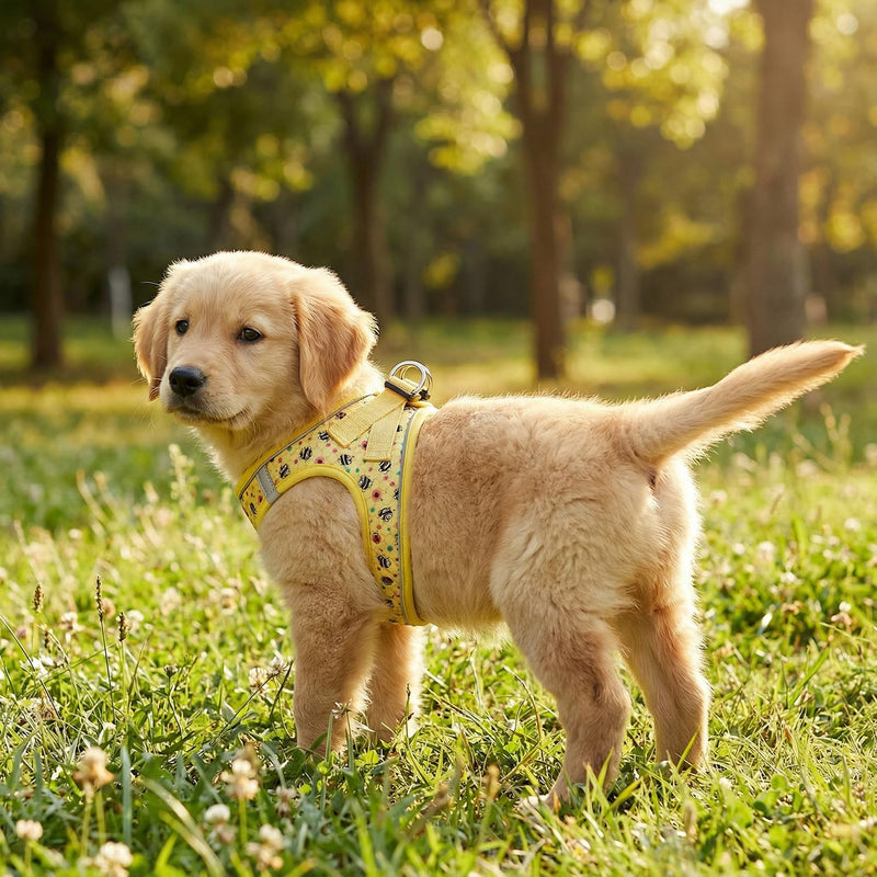Step in Dog Harness and Leash Set, Reflective Adjustable No Pull Dog Harness for Small Medium Dogs Puppy and Cats, Soft Padded Mesh Vest Harnesses for Girl and Boy Pets(Bee,L) Bee L-Chest:18.9-21.3inch - PawsPlanet Australia