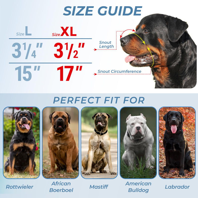XL Metal Dog Muzzle for Large Sized Dogs – Heavy Duty Rottweiler Muzzle – Basket Extra Large Dog Muzzles for Barking and Biting Cane Corso, Mastiff, Labrador, Bulldog and Other Big Breeds - PawsPlanet Australia