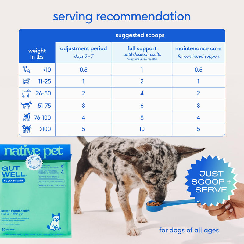 Native Pet GutWell Clean Breath - Dog Breath Freshener & Dog Dental Powder - Teeth Cleaning to Reduce Plaque & Tartar - Promotes Fresh Breath with Targeted Triple-biotic Dental Care Blend - 60 Scoops - PawsPlanet Australia