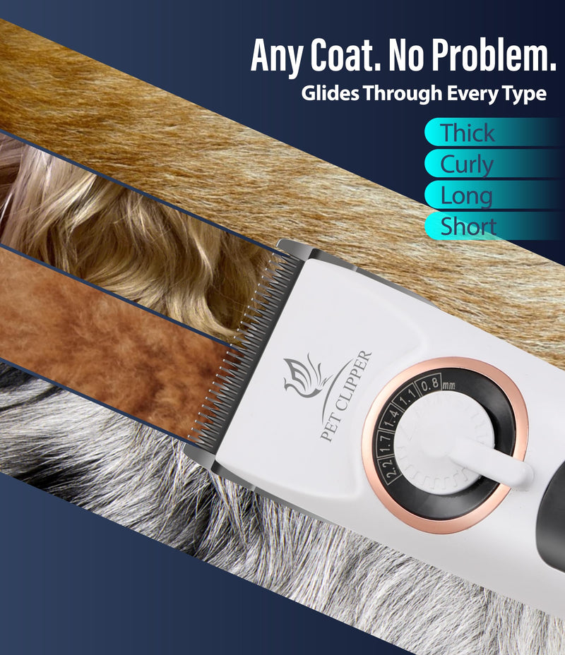 Professional Dog Grooming Clippers with 12H Runtime & Replaceable 440C Blade, 3-Speed Low Noise Electric Dog Shaver for Thick, Matted, Curly Hair, Cordless Clipper for Groomer & Home Use, White Clipper+10FC Blade - PawsPlanet Australia