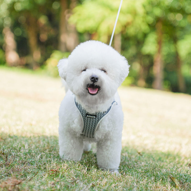 AIITLE Soft Mesh Dog Harness and Leash Set - No Pull Step in Dog Harness with Super Breathable Mesh, Reflective Adjustable Pet Harness for Outdoor Walking, Training for Large Dogs Beige L L(Chest: 18 - 19.5") - PawsPlanet Australia