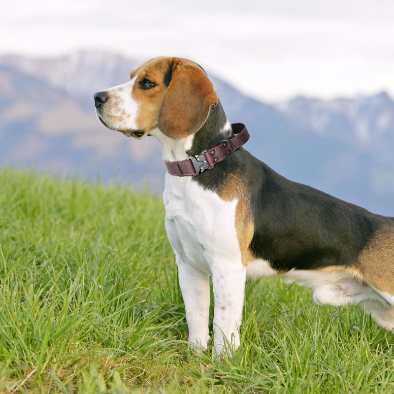 PET ARTIST Tactical Leather Dog Collar for Walking & Training, Sturdy Dog Collar with Soft Handle, Durable Metal Buckle,Best for Medium Large Dogs, Brown L M:15-20 Inch - PawsPlanet Australia