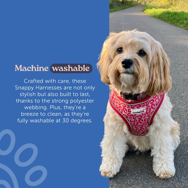 Doodlebone – Snappy Harness Dog Harness – Easy Step In Vest Style Harness, No Over Head Fit, Reflective & Machine Washable for Puppies and Small Dogs – Size 3, 46-52cm - Coal - PawsPlanet Australia