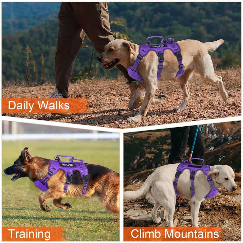 Escape Proof Dog Harness for Large Medium Sized Dogs Six Point Adjustable, Service Dog Vest Harness and Leash Set, No Pull Dogs Harnesses with Handle, XL Dog Harnesses for Walking(Purple, XL) X-Large Purple - PawsPlanet Australia