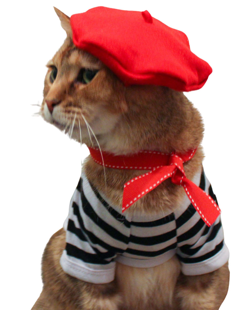 Cat and Human MATCHING berets! Twinning with the feline, with or without full french outfit! (Medium) Medium - PawsPlanet Australia